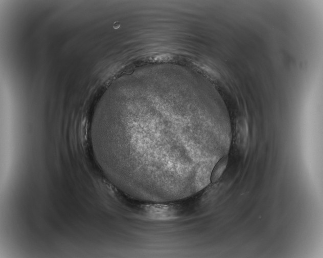 X0000086280230200704122053