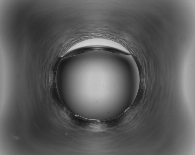 X0000086280231200704122053