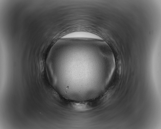 X0000086280232200704122053