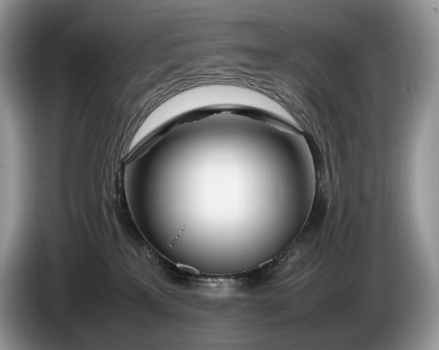 X0000086280233200704122053