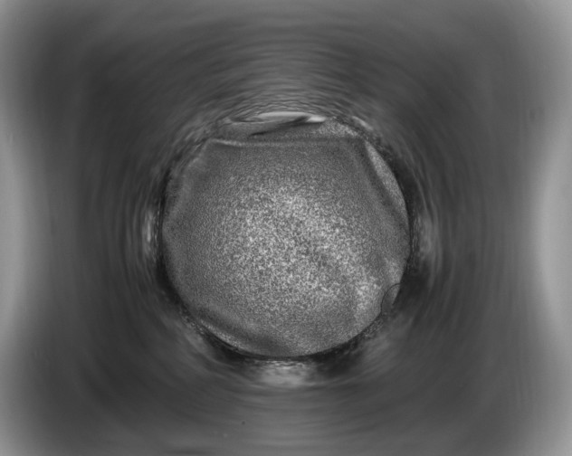 X0000086280234200704122053