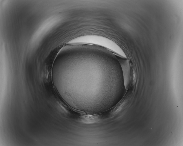 X0000086280239200704122053