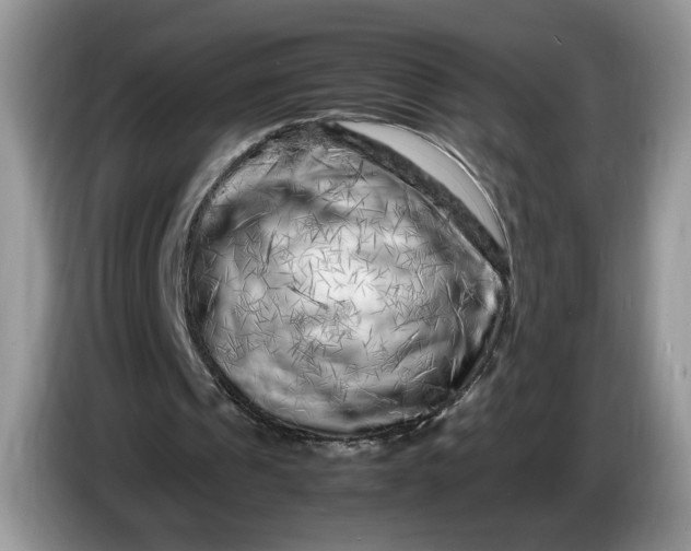 X0000086280241200704122052