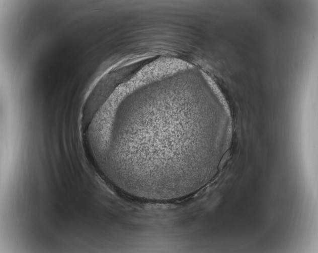 X0000086280242200704122052