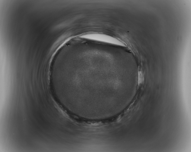 X0000086280243200704122052