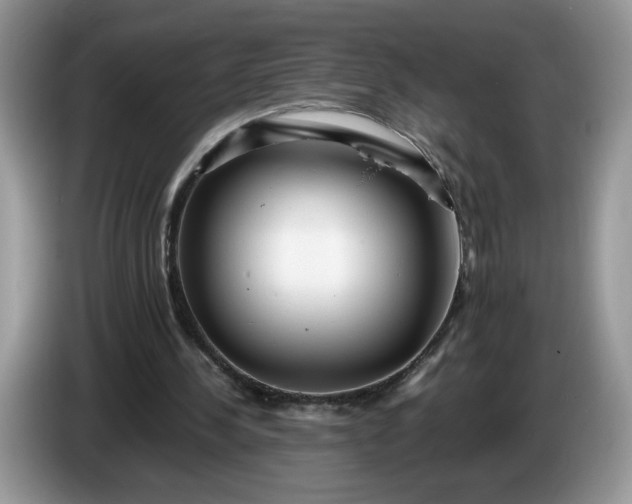 X0000086280244200704122052