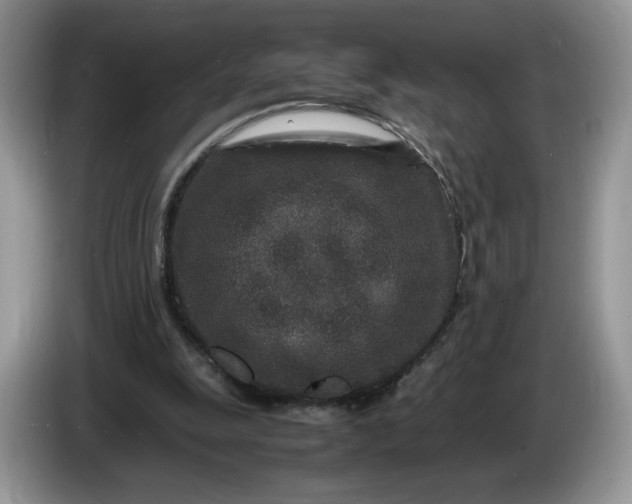 X0000086280247200704122052