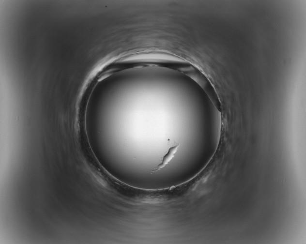 X0000086280248200704122052