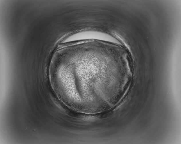 X0000086280249200704122052