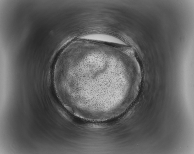 X0000086280250200704122052