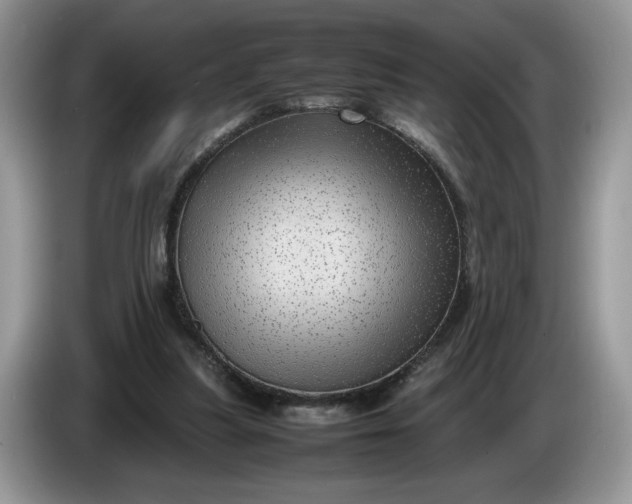 X0000086280251200704122052