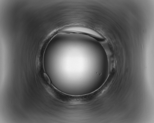 X0000086280252200704122052