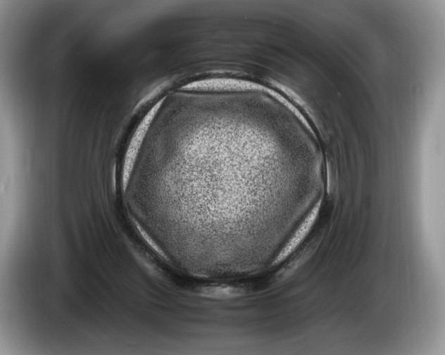 X0000086280253200704122052