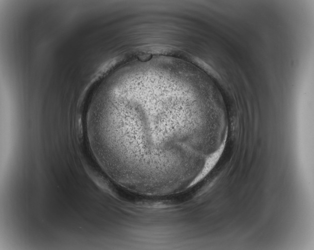 X0000086280254200704122052