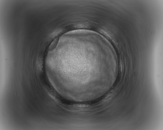 X0000086280255200704122052