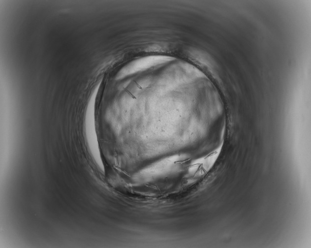 X0000086280257200704122052