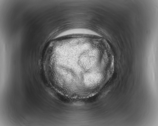 X0000086280258200704122052