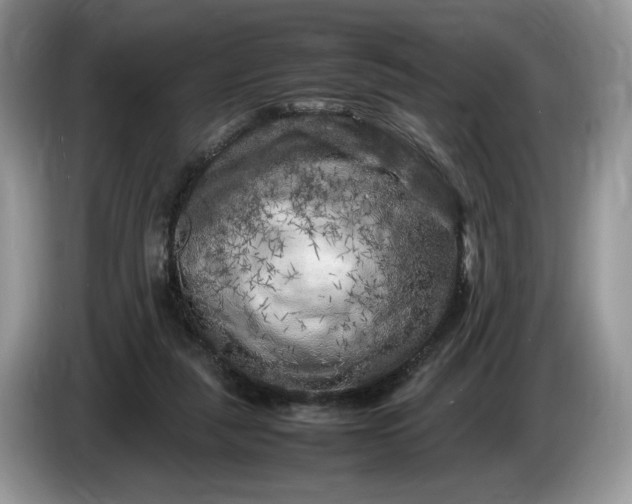 X0000086280259200704122052