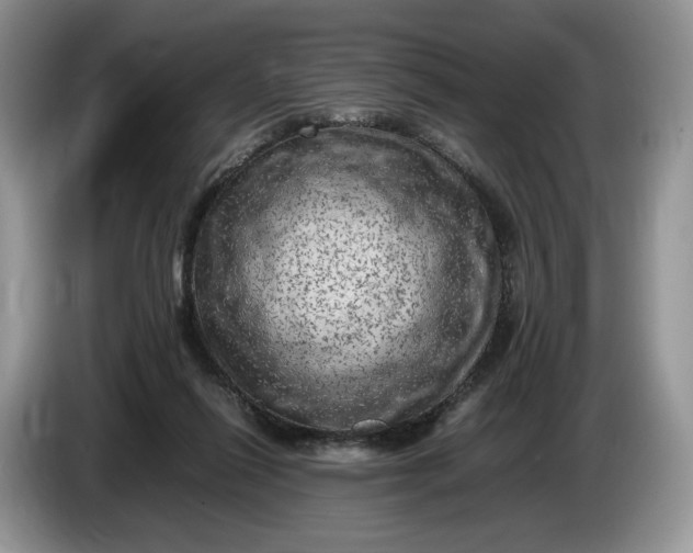 X0000086280262200704122053