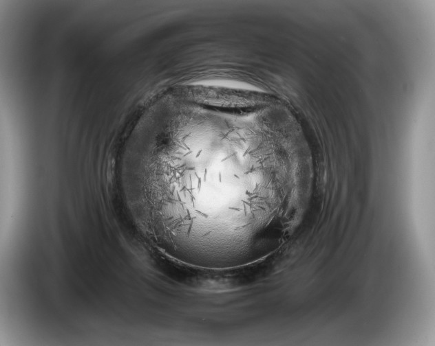 X0000086280263200704122053