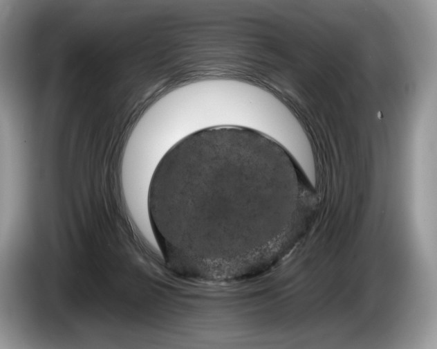 X0000086280264200704122053