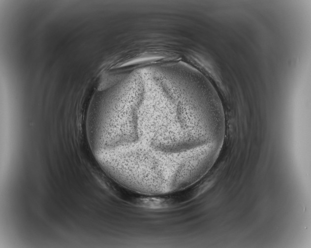 X0000086280265200704122053