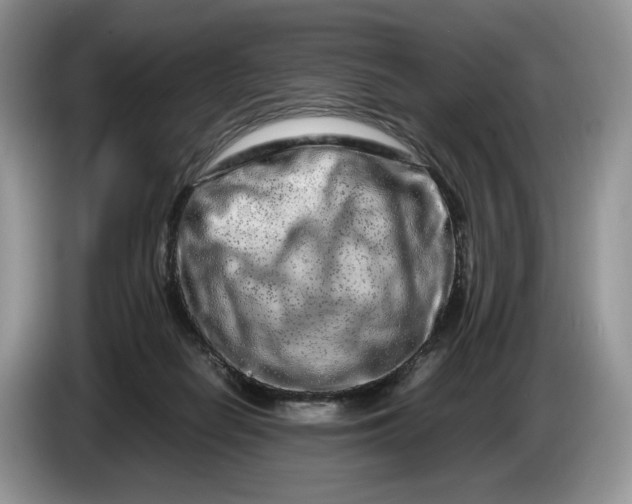 X0000086280266200704122053