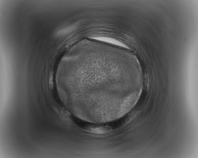 X0000086280267200704122053