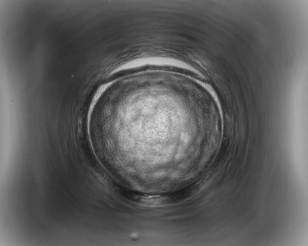 X0000086280269200704122053