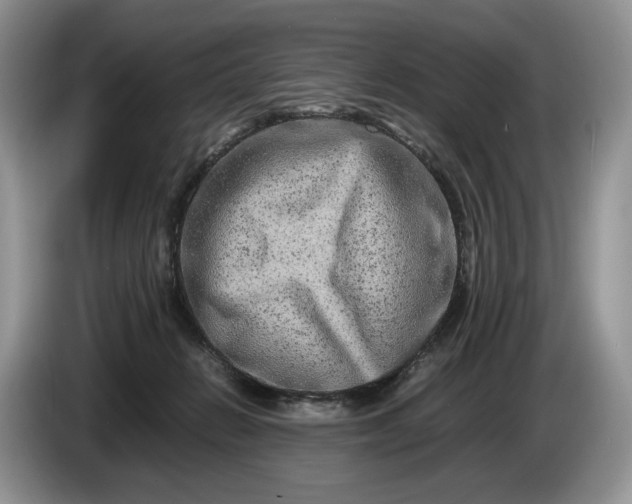 X0000086280270200704122053