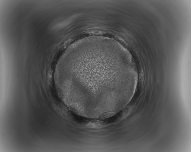 X0000086280271200704122053