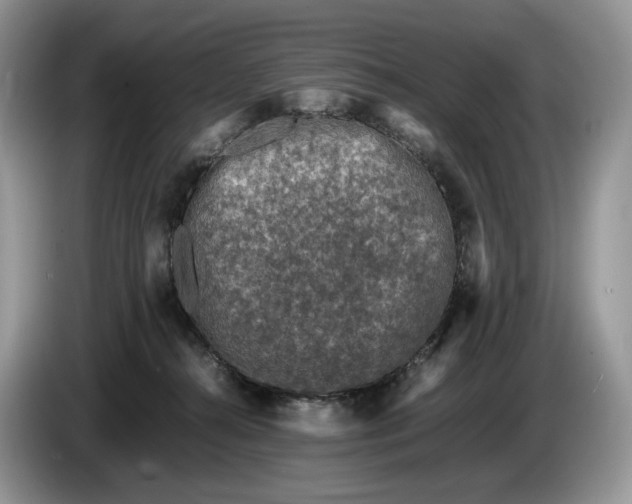 X0000086280272200704122053