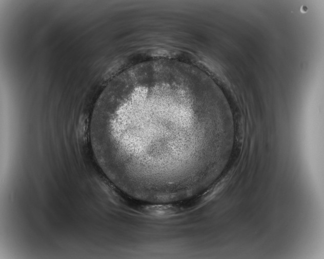 X0000086280273200704122053