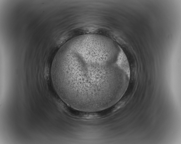 X0000086280274200704122053