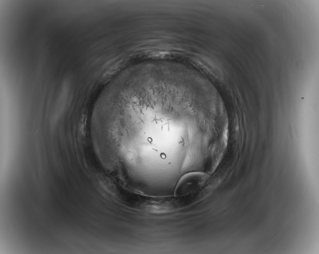 X0000086280275200704122053