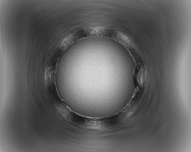 X0000086280276200704122053