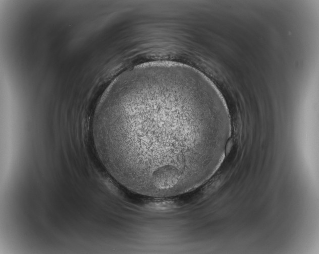 X0000086280278200704122053