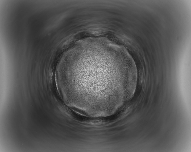 X0000086280279200704122053