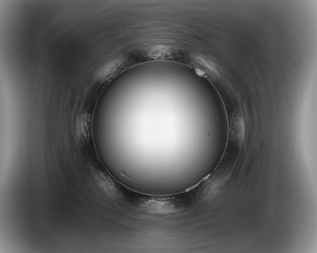 X0000086280280200704122053