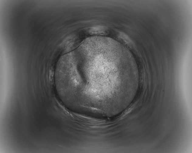 X0000086280281200704122053