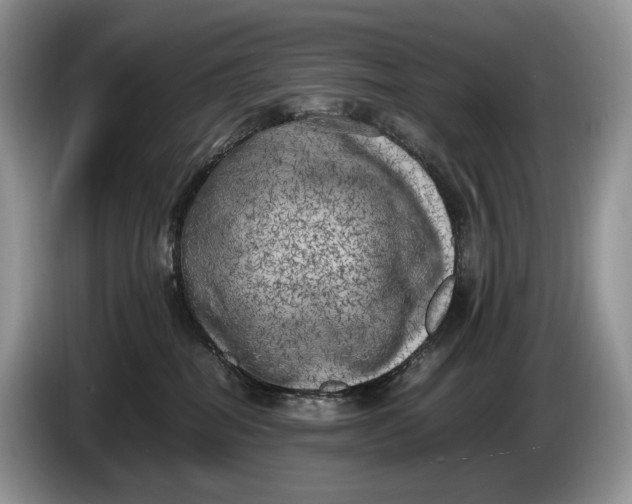 X0000086280282200704122053