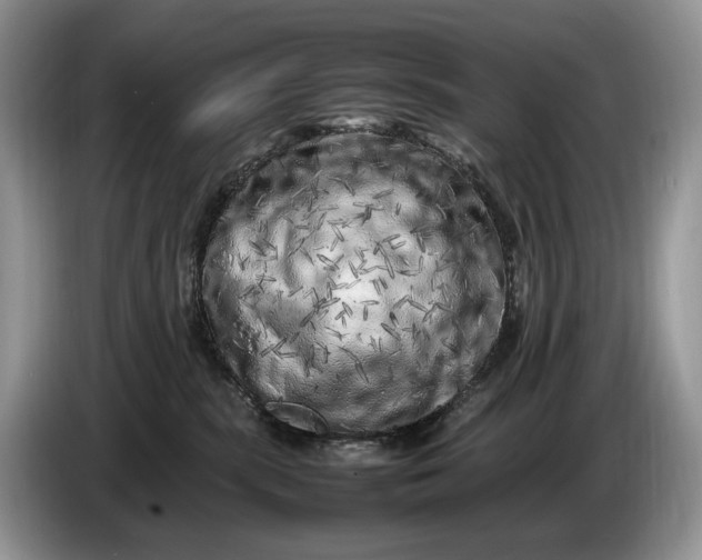 X0000086280283200704122053