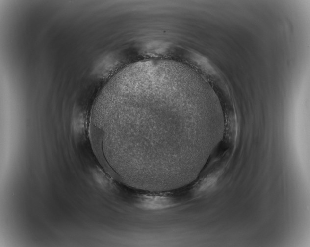 X0000086280284200704122053