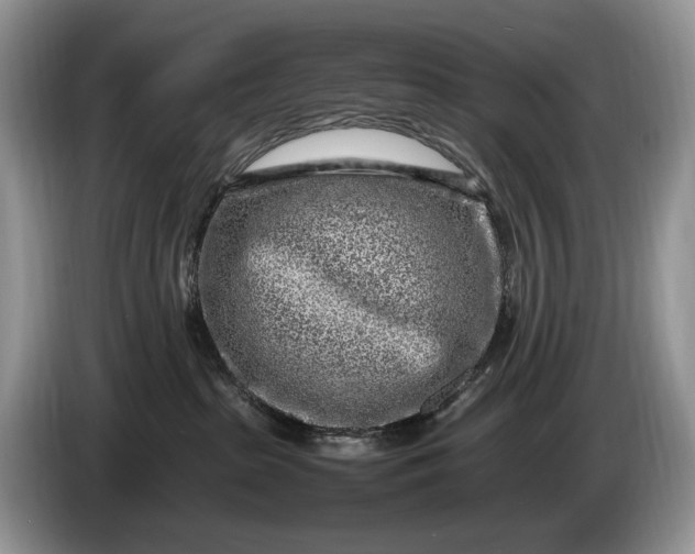 X0000086280285200704122053