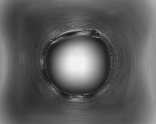 X0000086280288200704122053