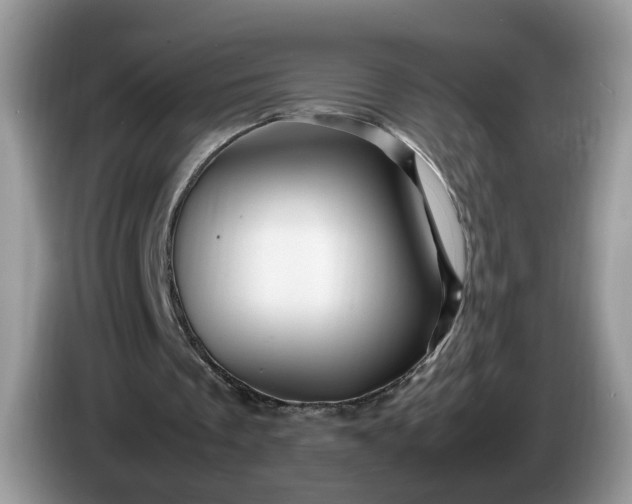 X0000086280289200704122052