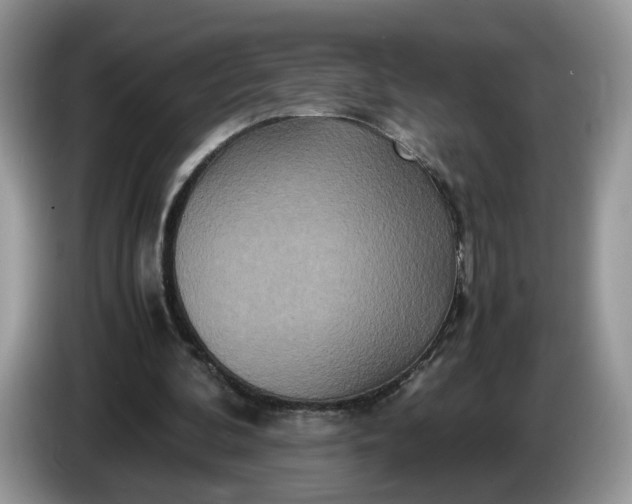 X0000086280292200704122052