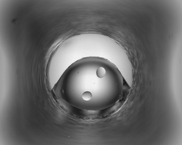 X0000086280293200704122052