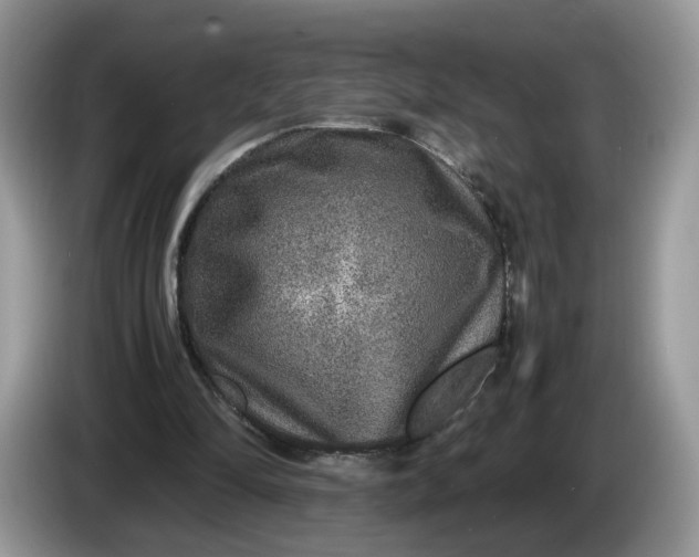 X0000086280294200704122052