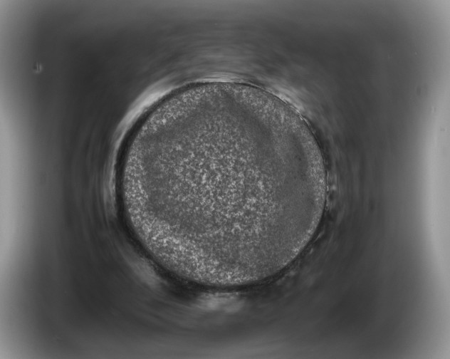 X0000086280296200704122052